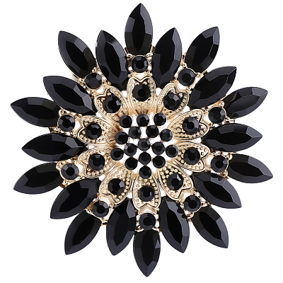 1Pc Alloy Acrylic Lapel Pins for Clothes JEWB-CP0001-55A-1