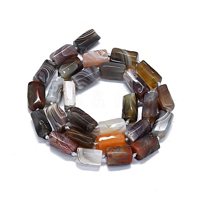 Natural Botswana Agate Beads Strands G-O170-123-1