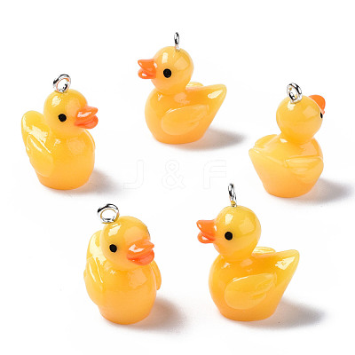 Opaque Resin Pendants X1-RESI-S356-065-1