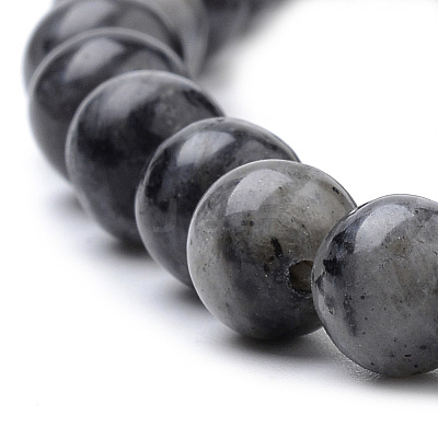 Natural Larvikite Beads Strands G-S259-06-12mm-1