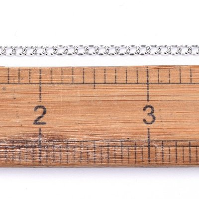 Non-Tarnish 3.28 Feet 304 Stainless Steel Curb Chains X-CHS-F006-04A-P-1