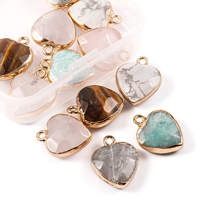 12Pcs 6 Style Electroplate Natural Gemstone Pendants G-LS0002-09-1
