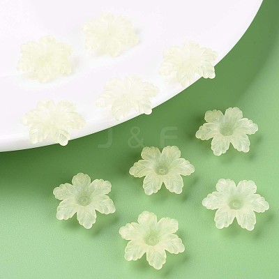 Transparent Acrylic Beads MACR-S373-117-D03-1
