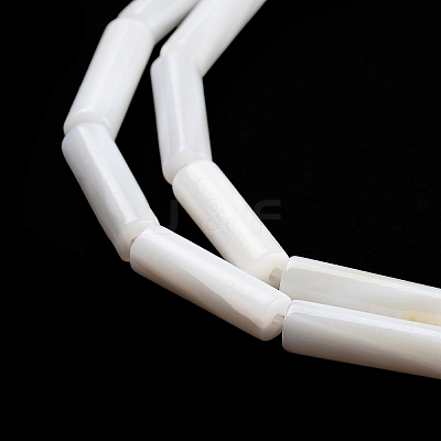 Freshwater Shell Beads Strands BSHE-L037-13-1