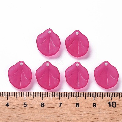 Transparent Frosted Acrylic Pendants MACR-S371-02A-706-1