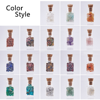 19Pcs Various Gemstone No Hole Chips in Bottles G-PH0034-50-1