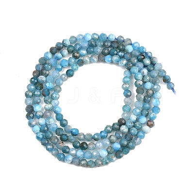Natural Apatite Beads Strands G-RM250104-A2-1