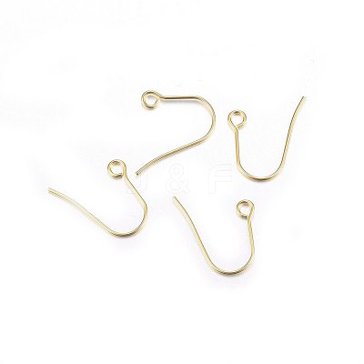 304 Stainless Steel Earring Hooks STAS-P210-21G-1