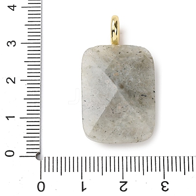 Natural Labradorite Faceted Pendants X-G-B186-01G-01-1