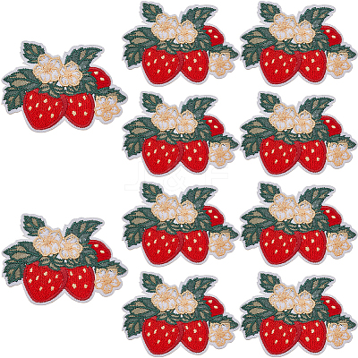 10Pcs Polyester Embroidered Cloth Patch PATC-HS0001-08-1