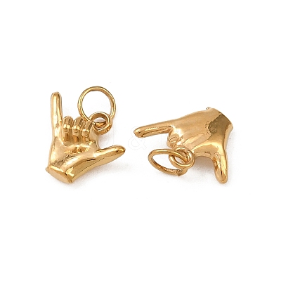 304 Stainless Steel Charms STAS-G364-09G-1