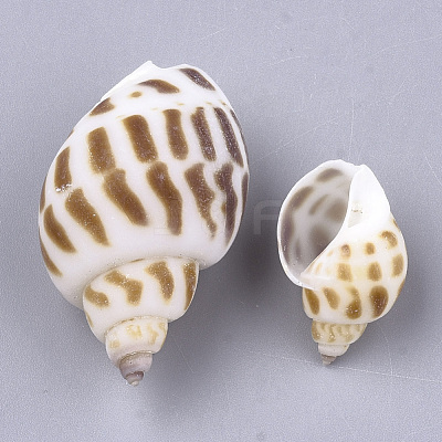 Spiral Shell Beads SSHEL-S258-54-1