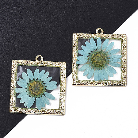 Epoxy Resin Pendants LS-X-RESI-T045-029D-1