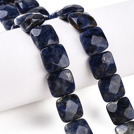 Natural Sodalite Beads Strands G-T138-169-1