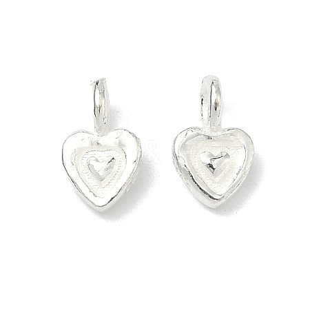 925 Sterling Silver Charms STER-A050-02B-S-1