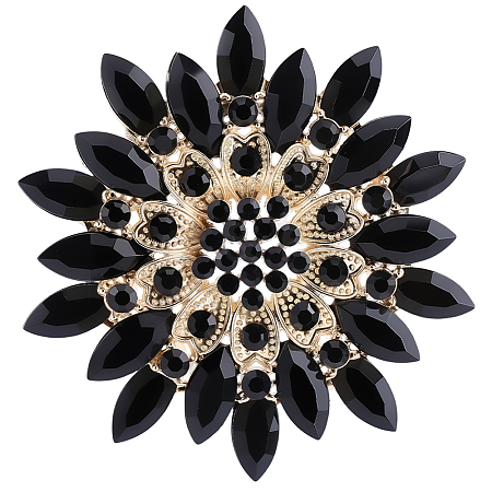 1Pc Alloy Acrylic Lapel Pins for Clothes JEWB-CP0001-55A-1
