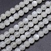 Natural White Moonstone Round Bead Strands G-M262-6mm-04-1