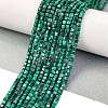 Natural Malachite Beads Strands G-C009-B24-01-2