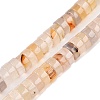 Natural White Agate Beads Strands G-T138-54-4