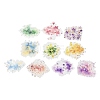 Fireworks PET Self-adhesion Sticker AJEW-S038-01E-3