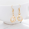 Crystal Rhinestone Dangle Earrings EJEW-BB72421-A-7