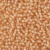 TOHO Round Seed Beads SEED-TR08-0955-2