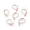 304 Stainless Steel Leverback Earring Findings STAS-P166-12RG-1