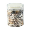 12 Styles Natural Mixed Shell Beads SSHEL-YW0001-05-6