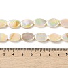 Natural Freshwater Shell Beads Strands BSHE-H018-06-4