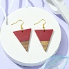 Resin & Walnut Wood Triangle Dangle Earrings EJEW-JE05505-04-3