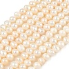 Natural Cultured Freshwater Pearl Beads Strands PEAR-RM241213-2-2