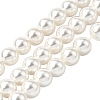 Rainbow Plated Shell Pearl Bead Strands BSHE-L025-02-6mm-1