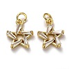 Brass Micro Pave Cubic Zirconia Charms ZIRC-H119-08G-1