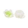 Luminous Resin Decoden Cabochons RESI-K036-06F-02-3