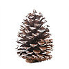 Wood Artificial Pine Cone HULI-PW0002-034C-1