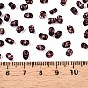 Picasso Spray Painted Glass Seed Beads SEED-T006-04-23-4