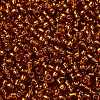TOHO Round Seed Beads SEED-XTR08-2208-2