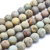 Natural Aqua Terra Jasper Beads Strands G-N0128-48F-8mm-1