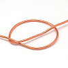 Round Anodized Aluminum Wire AW-S001-6.0mm-12-3