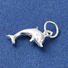 925 Sterling Silver Dolphin Charms STER-K180-09S-2