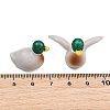 Resin Duck Miniature Figurines RE-CBA17C4-09-3