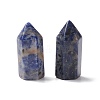 Natural Sodalite Sculpture Display Decoration G-A205-27J-2