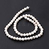 Natural Magnesite Round Bead Strands G-L358-4mm-02-4