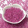 6/0 Transparent Colours Glass Seed Beads SEED-P006-01A-04-2