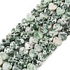 Natural Green Spot Jasper Beads Strands G-M403-A22-02-1