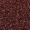 MIYUKI Delica Beads SEED-MY11-DB2160-3