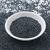 MIYUKI Round Rocailles Beads X-SEED-G007-RR0451-2