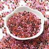 Transparent Glass Round Seed Beads SEED-B001-05A-15-2