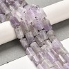 Natural Amethyst Beads Strands G-N327-06-04-2