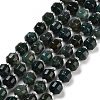 Natural Moss Agate Beads Strands G-NH0010-B01-01-1